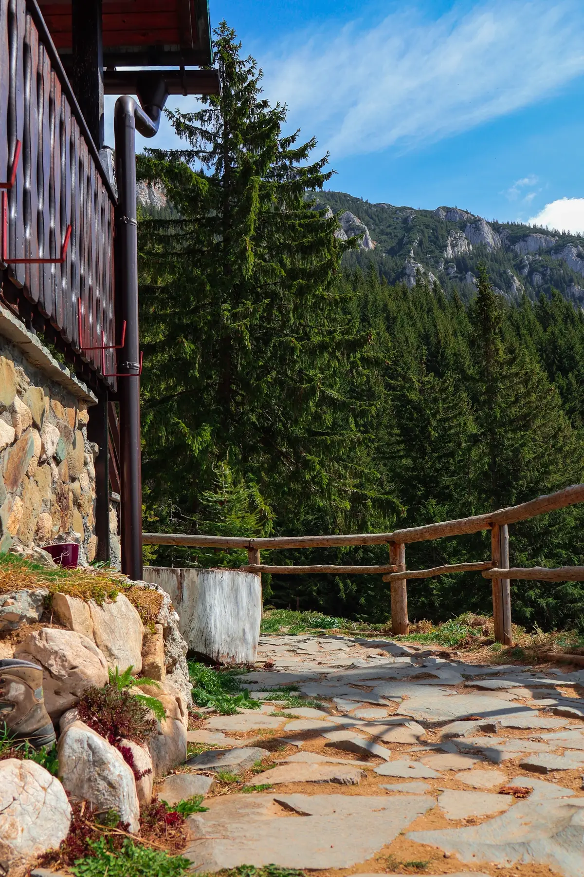 A stone path leading from a mountain lodge toward the forest